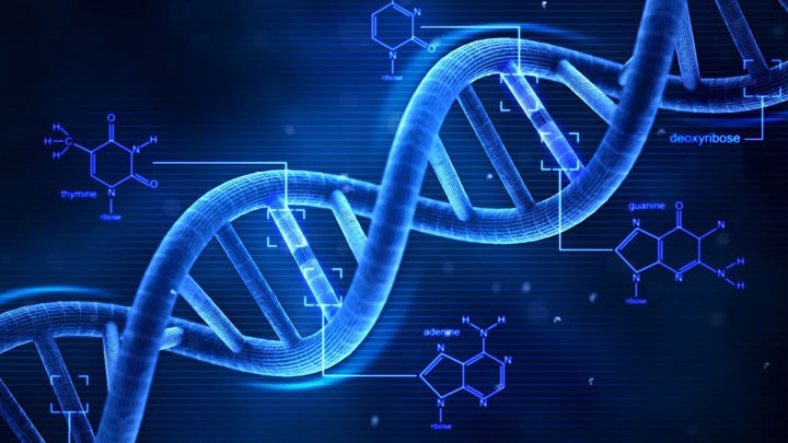 cualquiera puede diseñar ADN
